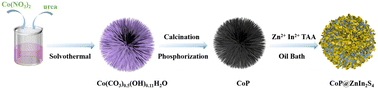 Construction of a hierarchical CoP@ZnIn2S4 heterojunction for photocatalytic hydrogen evolution ...