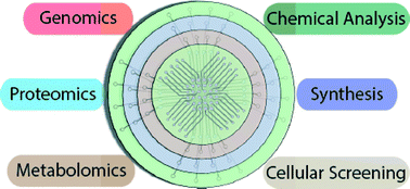 Graphical abstract: Pneumatically actuated microvalve circuits for programmable automation of chemical and biochemical analysis