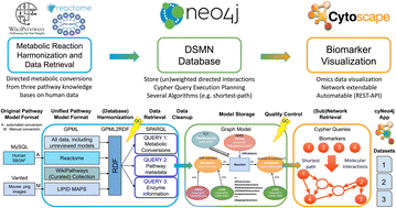 Graphical abstract: Discovering life's directed metabolic (sub)paths to interpret human biochemical markers using the DSMN tool