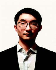 image file: c9ta04114a-p1.tif